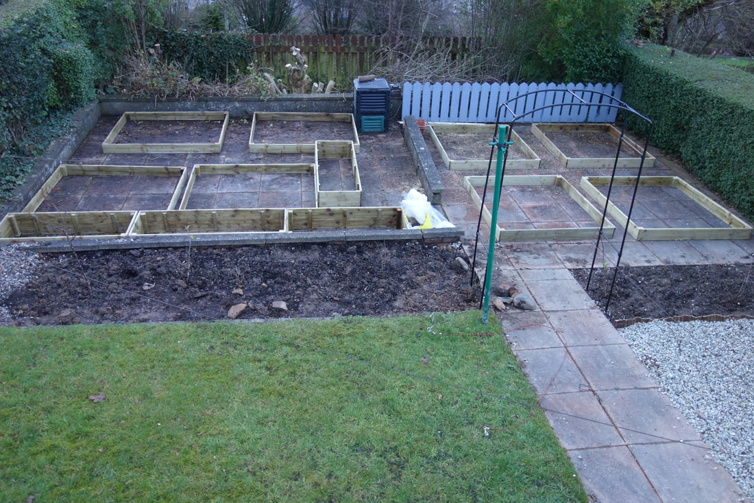 transforming a garden with raised beds